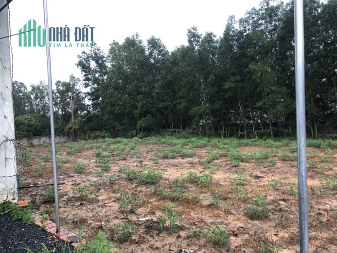 Chính chủ cần Bán đất An Viễn Trảng Bom 20 x 56m, sổ riêng thổ cư 300m2