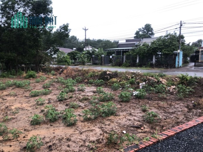 Chính chủ cần Bán đất An Viễn Trảng Bom 20 x 56m, sổ riêng thổ cư 300m2