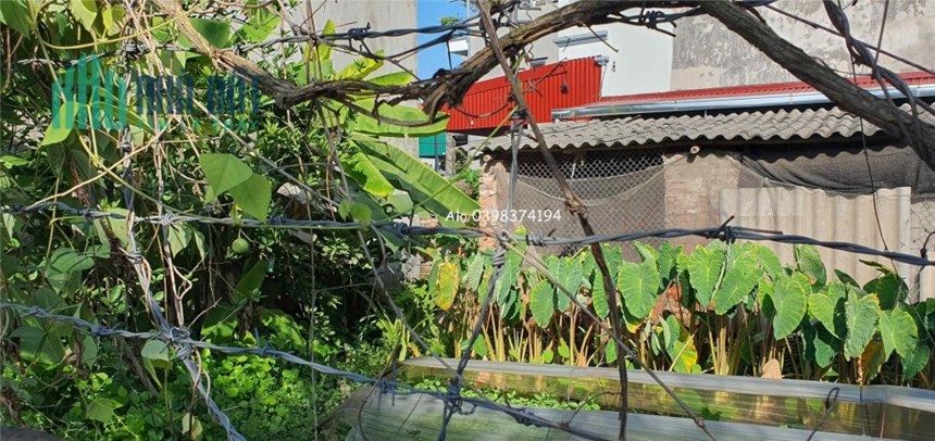 Đất giá thấp nhất khu vực Vân Nội, Đông Anh full thổ cư