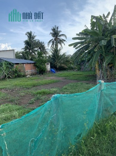 Cần Bán Lô Đất ấp Bình Tây xã Bình Trinh Đông huyện Tân Trụ tỉnh Long An
