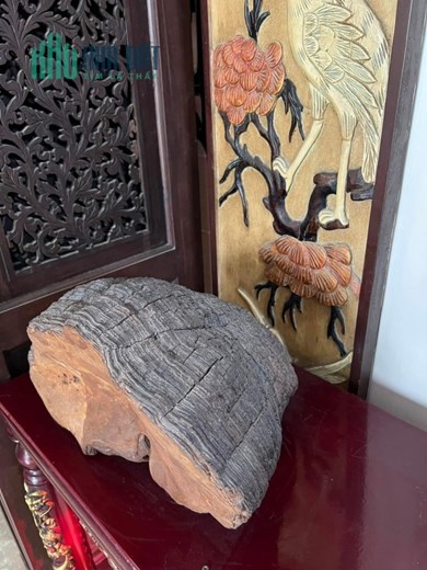 Bán Biệt Thự Vườn 335m2 full thổ cư, MT đường 12m, Lê Văn Lương, Tân Kiểng-0909615591