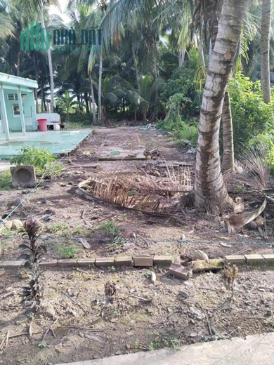 ĐẤT ĐẸP - GIÁ TỐT - Cần Bán 3 Lô Đất Vị Trí Tại xã Trung An, Vũng Liêm, Vĩnh Long