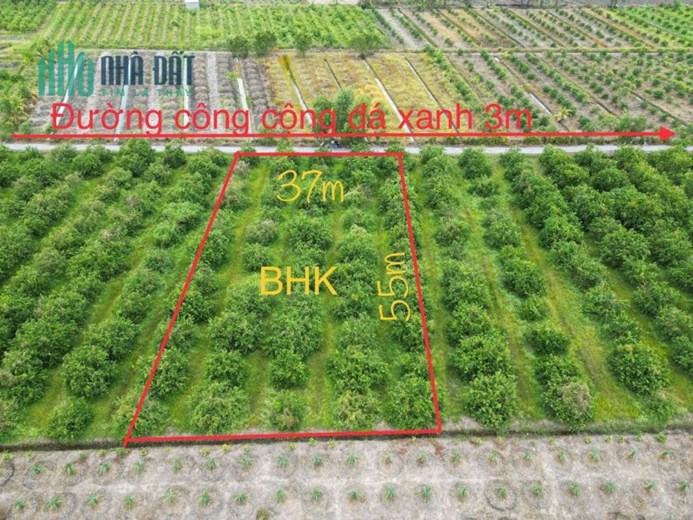 Kèo thơm giảm 120tr bán gấp trong tuần - 2000m² đất vườn ở xã Bình Đức - Bến Lức - Long An