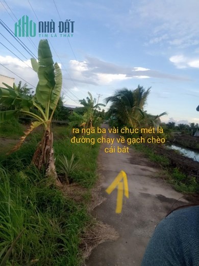 CHÍNH CHỦ Cần Bán Nhanh Lô Đất Vị Trí Đẹp Tại Phú Tân, Cà Mau