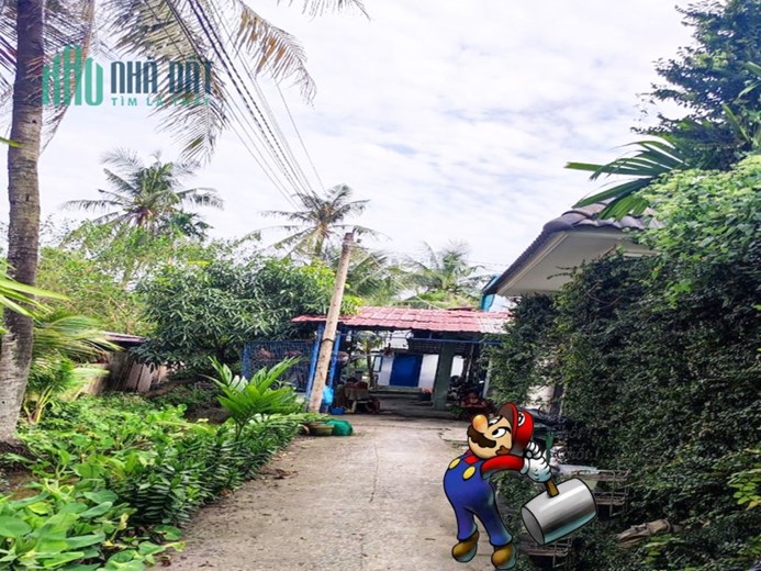 GẦN 200M2, NGANG 8M NỞ HẬU TÀI LỘC 9M - LÔ ĐẤT ĐẸP VƯỜN LÀI QUẬN 12, GIÁP GÒ VẤP, NHỈNH 5 TỶ