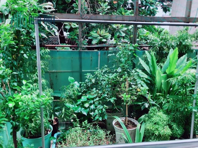 NHÀ ĐẸP-SỔ SẠCH-HOÀN CÔNG ĐỦ-HỖ TRỢ VÂY NGÂN HÀNG-TÂN THUẬN TÂY Q7-4TỶ XÍU.