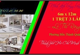 Bán rẻ nhà đẹp 6 x12m 1 trệt 3 lầu full nội thất cộng đồng người nước ngoài Q1 TP.HCM