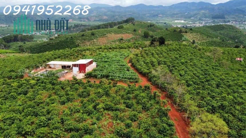 Chính chủ cần bán lô đất hiếm view đẹp xã Đạ Đờn, Lâm Hà,Lâm Đồng thích hợp làm nghỉ dưỡng