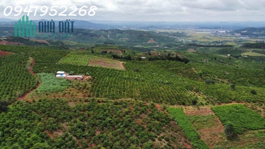 Chính chủ cần bán lô đất hiếm view đẹp xã Đạ Đờn, Lâm Hà,Lâm Đồng thích hợp làm nghỉ dưỡng