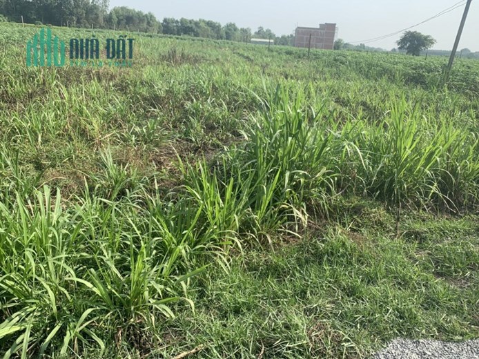 CHÍNH CHỦ CẦN BÁN NHANH Lô Đất Vị Trí Đắc Địa Tại Huyện Dương Minh Châu, Tây Ninh
