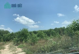 CHÍNH CHỦ CẦN BÁN ĐẤT THỔ CƯ ĐƯỜNG XUÂN THÀNH -SUỐI CAO , XÃ SUỐI CAO , HUYỆN XUÂN LỘC , TỈNH ĐỒNG