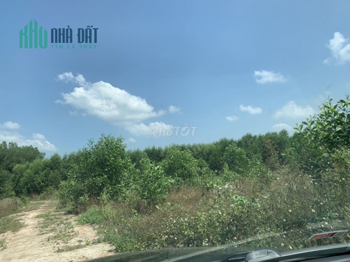 CHÍNH CHỦ CẦN BÁN ĐẤT THỔ CƯ ĐƯỜNG XUÂN THÀNH -SUỐI CAO , XÃ SUỐI CAO , HUYỆN XUÂN LỘC , TỈNH ĐỒNG