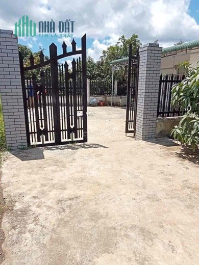 Chính Chủ Bán 25.002m2 Đất Tặng Nhà Và Vườn Cây Ăn Trái Sổ Riêng Tt Đăk Nông