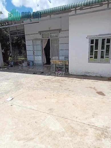 Chính Chủ Bán 25.002m2 Đất Tặng Nhà Và Vườn Cây Ăn Trái Sổ Riêng Tt Đăk Nông