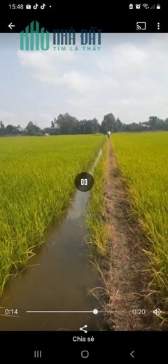 Chính chủ cần bán Lô Đất nông nghiệp 1484m2 Tân Thạnh-Long An