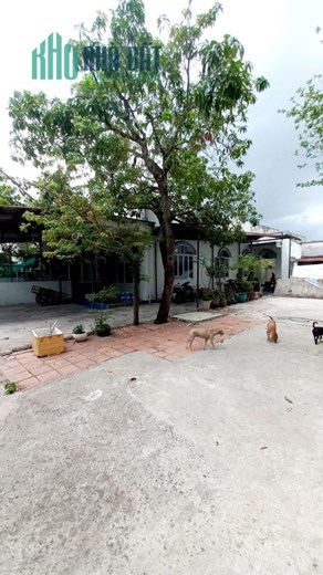NHÀ C4, Kp6, Thị Trấn NHÀ BÈ, BÁN 15TỶ5