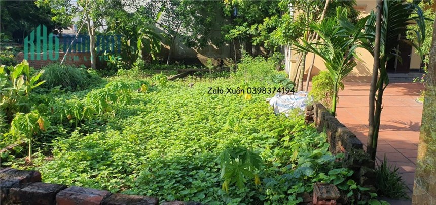 Thổ cư Vân Nội rộng 4m đường ô tô