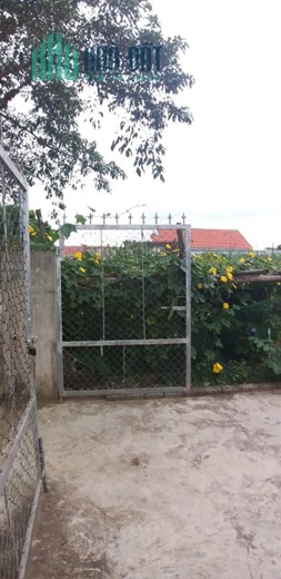 BÁN ĐẤT QUANG MINH, QUANG PHONG, THỊ XÃ THÁI HÒA