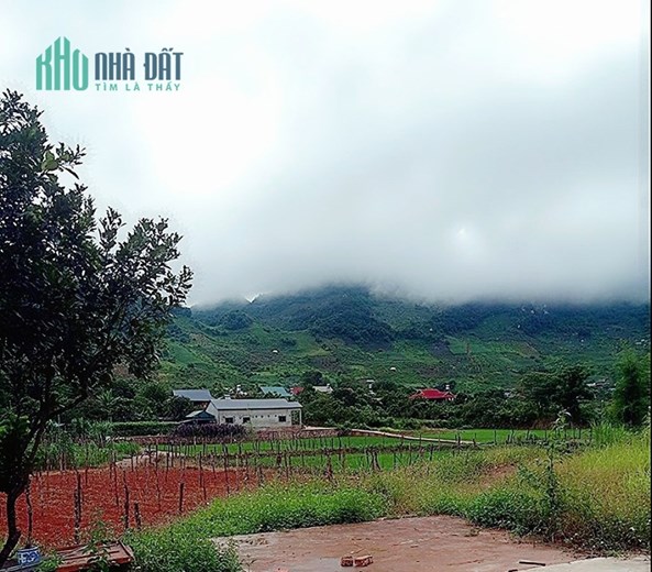 CHÍNH CHỦ CẦN BÁN ĐẤT NGHỈ DƯỠNG MỘC CHÂU-SƠN LA
