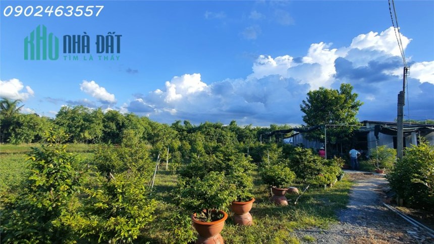 Nghỉ Dưỡng Hoàn Hảo: Khám Phá Óc Đảo Tiềm Năng tại Tây Ninh