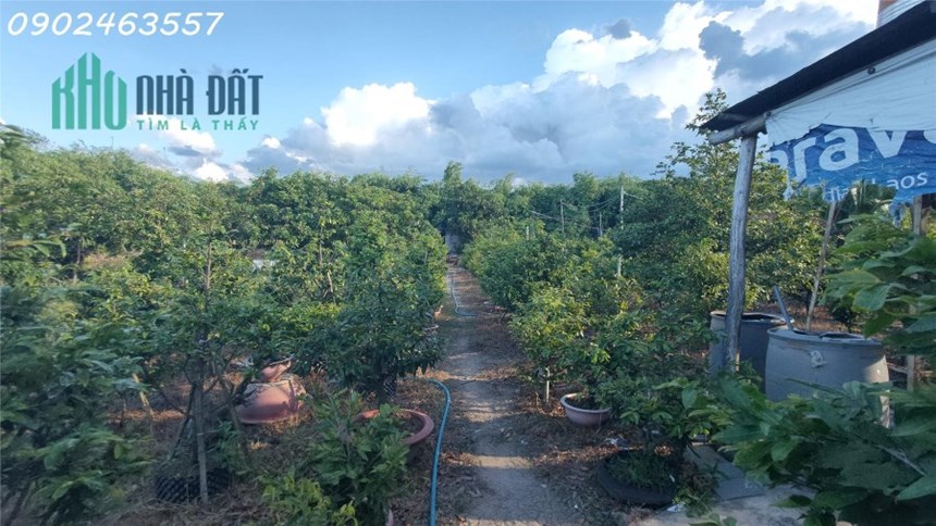 Nghỉ Dưỡng Hoàn Hảo: Khám Phá Óc Đảo Tiềm Năng tại Tây Ninh