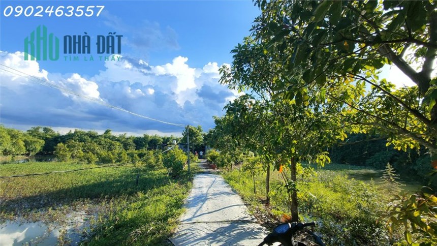 Nghỉ Dưỡng Hoàn Hảo: Khám Phá Óc Đảo Tiềm Năng tại Tây Ninh