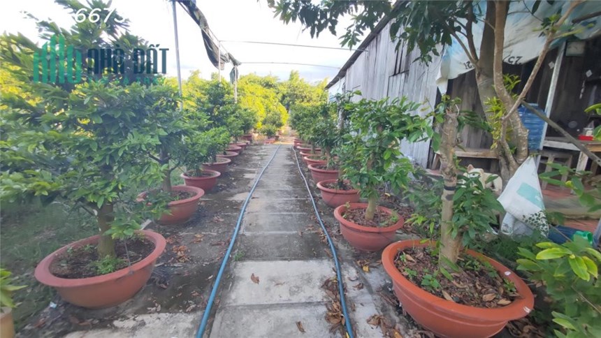 Độc Đáo Óc Đảo Khu Nghĩ Dưỡng - Cơ Hội Đầu Tư Hấp Dẫn tại Tây Ninh