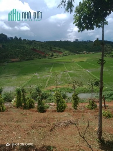 ĐẤT ĐẸP - GIÁ TỐT - Cần Bán Lô Đất Vị Trí Mặt Đường  Tại Xã Thuận An, Huyện Đắk Mil, Đắk Nông
