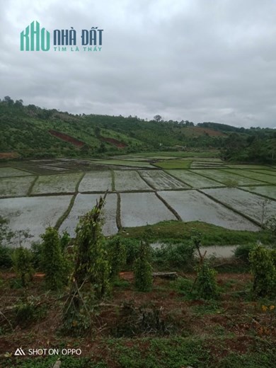 ĐẤT ĐẸP - GIÁ TỐT - Cần Bán Lô Đất Vị Trí Mặt Đường  Tại Xã Thuận An, Huyện Đắk Mil, Đắk Nông