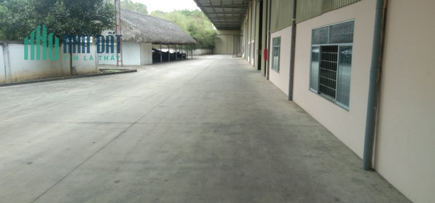 CHO THUÊ NHÀ XƯỞNG BẾN CÁT BÌNH DƯƠNG DT XƯỞNG 7400M GIÁ 2.5USD