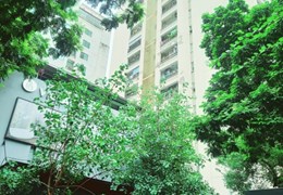 TÌM KHÁCH THUÊ CĂN HỘ HOA LƯ, 65M