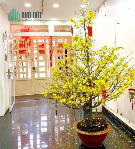 Nhà mới hẻm xe hơi 6 tầng Lê Hồng Phong P1Q10 giá 27tr