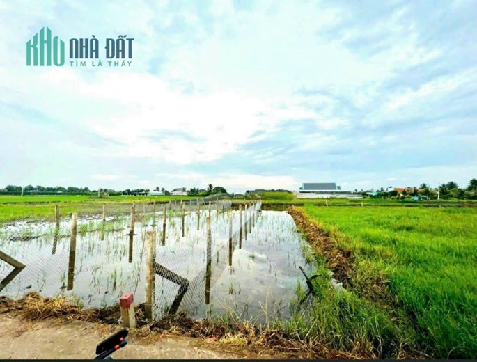 Chỉ 595tr có ngay SHR 144m2 thổ cư tại xã Tân Bình. Lh:0989489993.