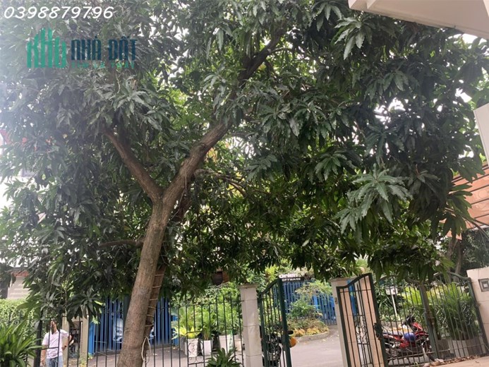 Bán Biệt Thự Sân Vườn Phú Mỹ Hưng , khu 
Mỹ Gia , Tân Phú  chỉ 50 tỷ .