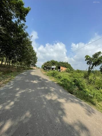 1000m2, trục chính Hồ Câu cá Anh Thư, khu phố 4, P. Tân Đồng, TP. Đồng Xoài, 1000m2, trục chính Hồ