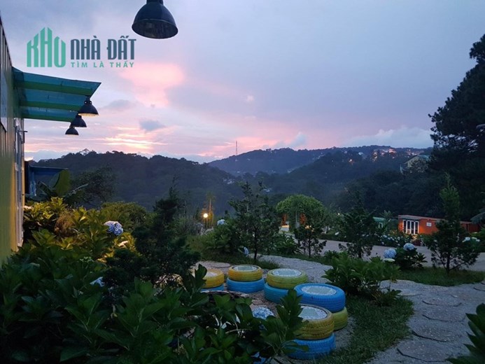 Cho thuê 9000m2 đất mặt tiền Khe Sanh Đà Lạt thích hợp mở homestay, cà phê, khu du lịch