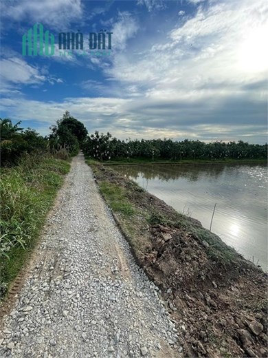 ĐẤT ĐẸP - GIÁ TỐT - Cần Bán Lô Đất Vị Trí Tại thị trấn Hội An, Chợ Mới, An Giang