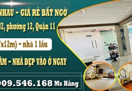 Chính chủ bán 2 nhà liền nhau tại đường 3/2, phường 12, Quận 11 -  Giá rẻ bất ngờ