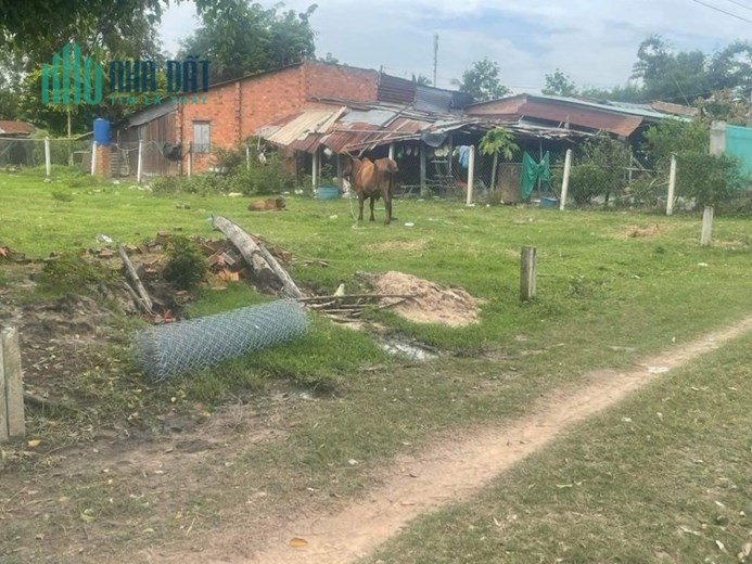 Ngân Hàng Siết Nợ Chính Chủ Cần Bán Gấp Đất Ở Liền Kề Cách Đường Nhựa 100m