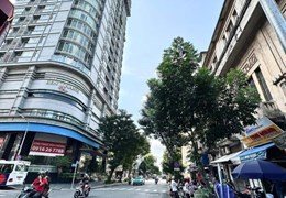 Nhà Mặt Tiền Quận 1 - Nguyễn Thái Bình, 88m2 , 8 Tầng, Thang máy, Kinh Doanh