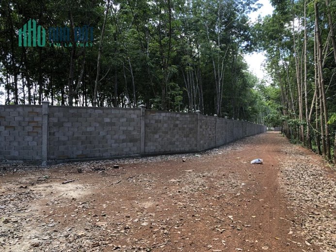 ĐẤT ĐẸP - GIÁ TỐT - Cần Bán Lô Đất Vị Trí Đắc Địa Tại Xã Tân Hoà, Đồng Phú , Bình Phước