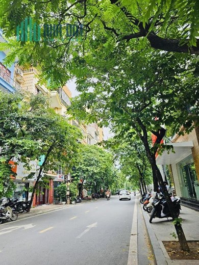 Bán Nhà Hoàng Cầu, Đống Đa. Khu Phân Lô Oto Đỗ Cửa, Thang Máy Nhập. Diện Tích 75m2 x 5 Tầng 1 Tum,
