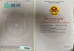 Chính chủ cần bán đất mặt phố Mai Phúc, cạnh ngõ 75 gara ô tô, tổ 3 phường Phúc Đồng, Long Biên