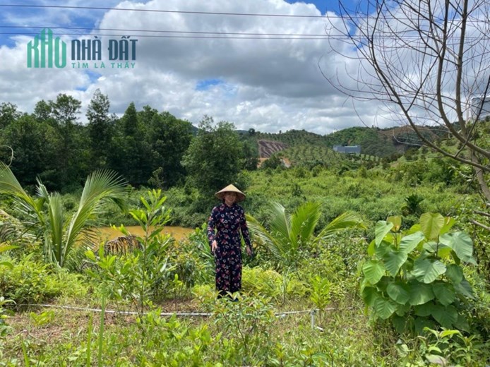 ĐẤT ĐẸP - GIÁ TỐT - Cần Bán 130m Mặt Tiền TẶNG Ngay 8 Sào Liền Kề Phía Sau