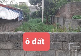 Chính chủ cần bán nhanh lô đất Thuộc Khu 5 -Thạch Đồng – Thanh Thuỷ - Phú Thọ.