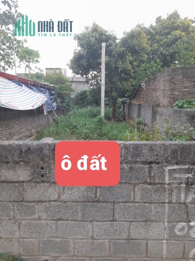 Chính chủ cần bán nhanh lô đất Thuộc Khu 5 -Thạch Đồng – Thanh Thuỷ - Phú Thọ.