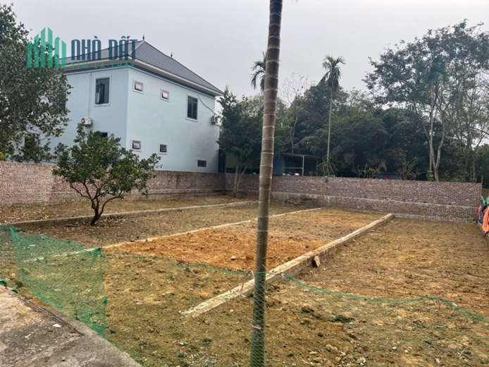 BÁN NHANH 125M2 ĐẤT GẦN ĐH FPT HÒA LẠC XÂY TRỌ ĐÓN 10.000 SV SĂP NHẬP HỌC - HH MÔI GIỚI 100TR