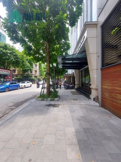[ HIẾM ] TÒA VP TRUNG TÂM QUẬN CẦU GIẤY 125M2, 9T, 1 HẦM, MẶT TIỀN 10M.