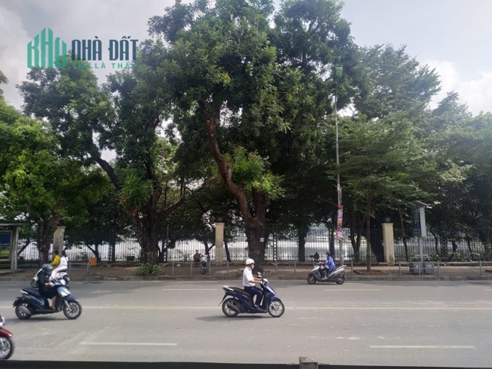 Bán siêu phẩm nhà Lê Duẩn, Đống Đa, Lô góc, 71m2, mt10m, xây CCMN cực  nét