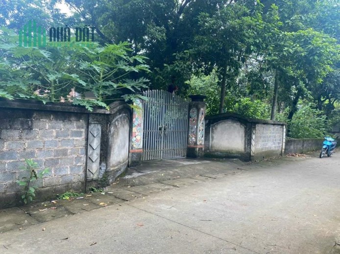 Bán Gấp Lô Đất 534m Đường Thông Ô Tô Săn Nhà Cấp 4 đẹp 2.2 Tỷ Nam Phương Tiến